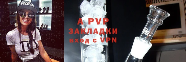 гидра Абаза