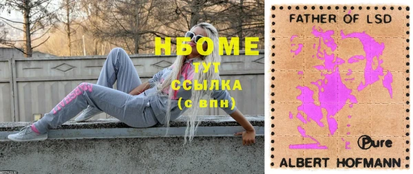 гидра Абаза