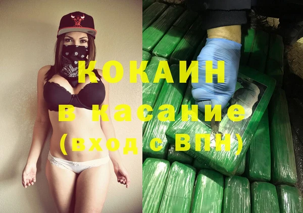 гидра Абаза