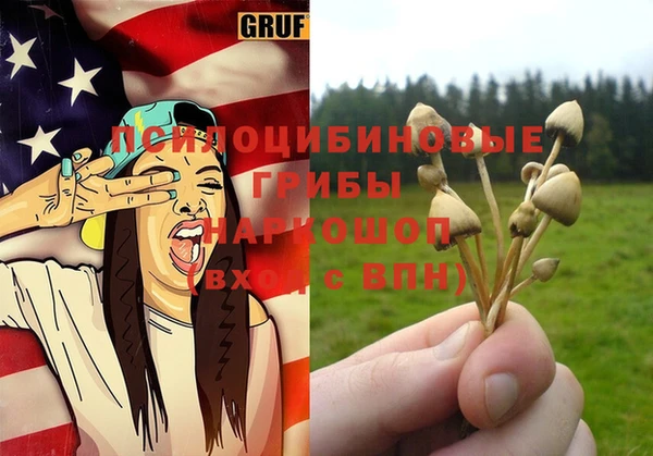 гидра Абаза
