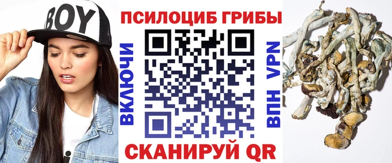 купить наркотики цена ссылка на мегу рабочий сайт Псилоцибиновые грибы MAGIC MUSHROOMS Палласовка